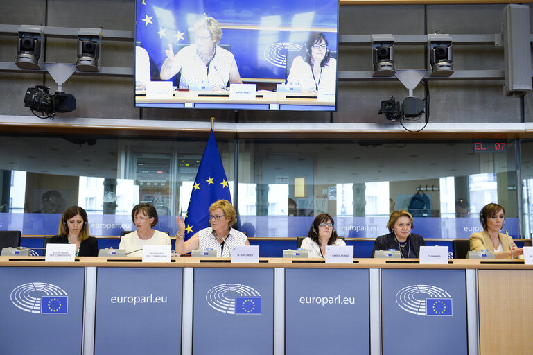 Foto 49: CONT Constitutive meeting - Election of Chair and Vice-Chairs