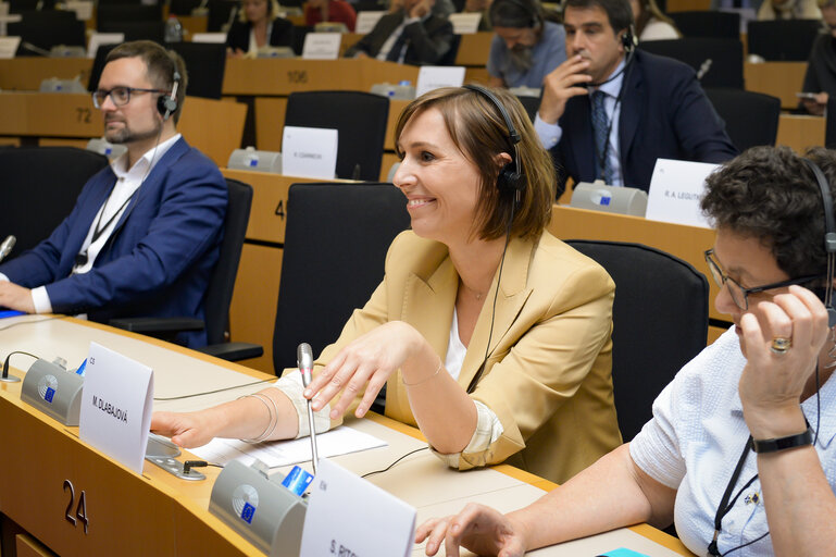 Foto 24: CONT Constitutive meeting - Election of Chair and Vice-Chairs