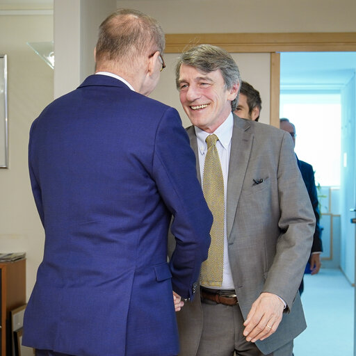 David SASSOLI, EP President meets with Vice-president Othmar KARAS