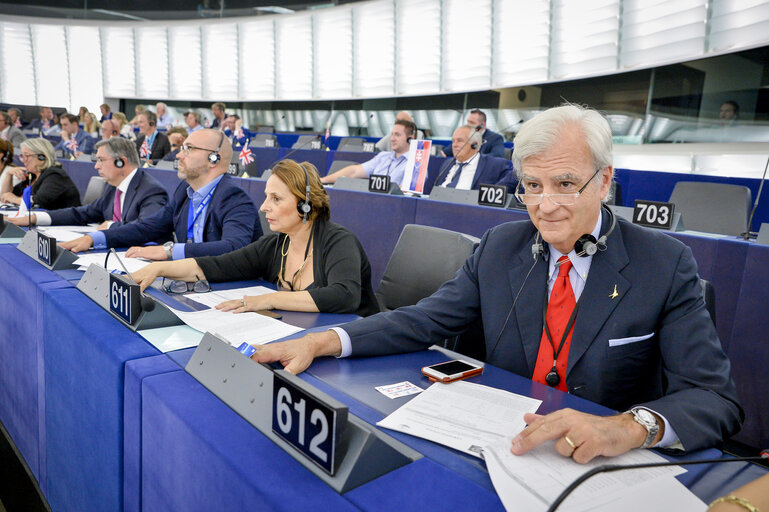 Foto 2: Antonio RINALDI in the EP in Strasbourg