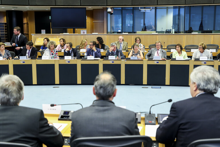 Constitutive meeting of the Conference of Committee Chairs (CCC)