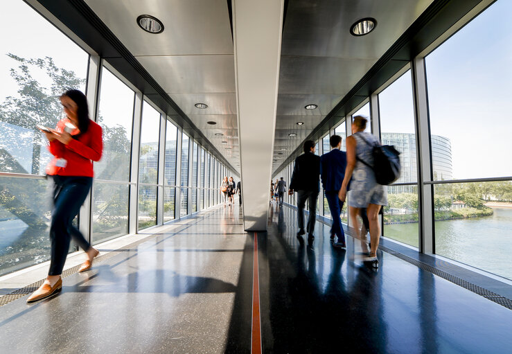 Fotografia 13: Passerelle between LOW and WIC