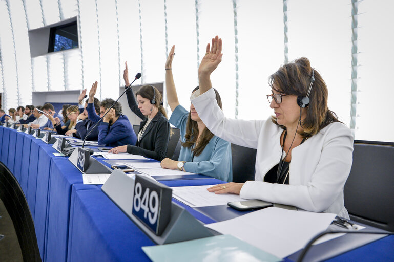 Chiara GEMMA in the EP in Strasbourg