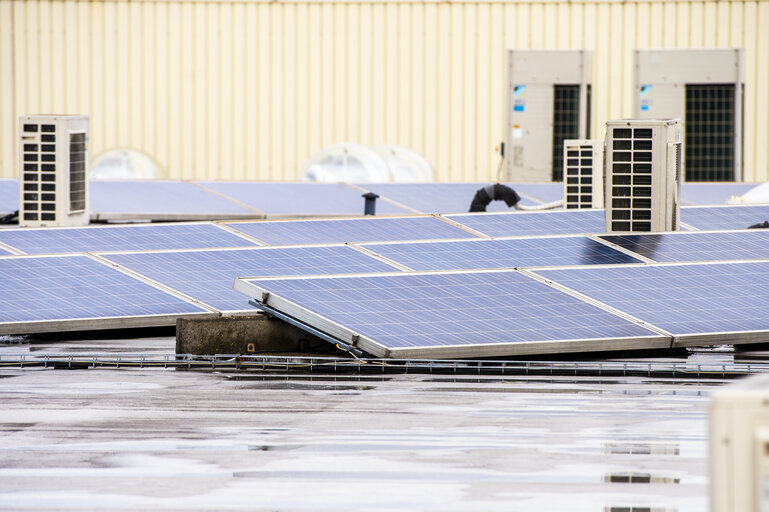 Fotografi 2: Renewable energy - solar panels on factory rooftop