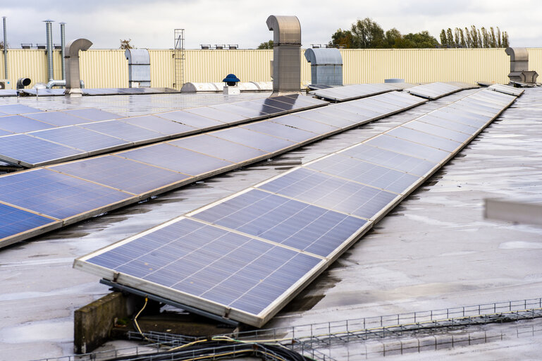 Fotografia 4: Renewable energy - solar panels on factory rooftop