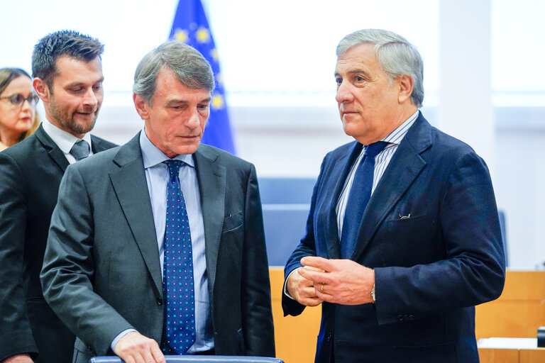 Photo 7: David SASSOLI, EP President takes part in Working Group Future of Europe