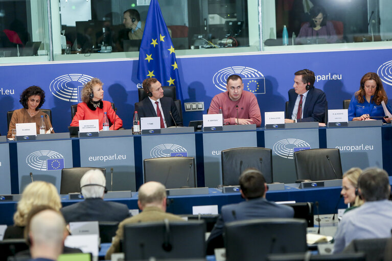 Fotografie 6: AFET - DEVE - DROI committee meeting. Exchange of views with Oleg SENTSOV, the 2018 Sakharov Prize laureate.