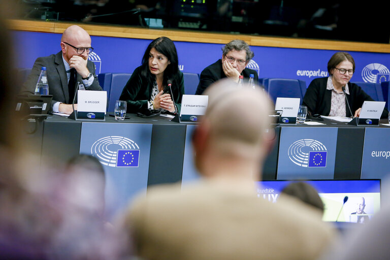 Foto 1: LUX prize  - Media round table