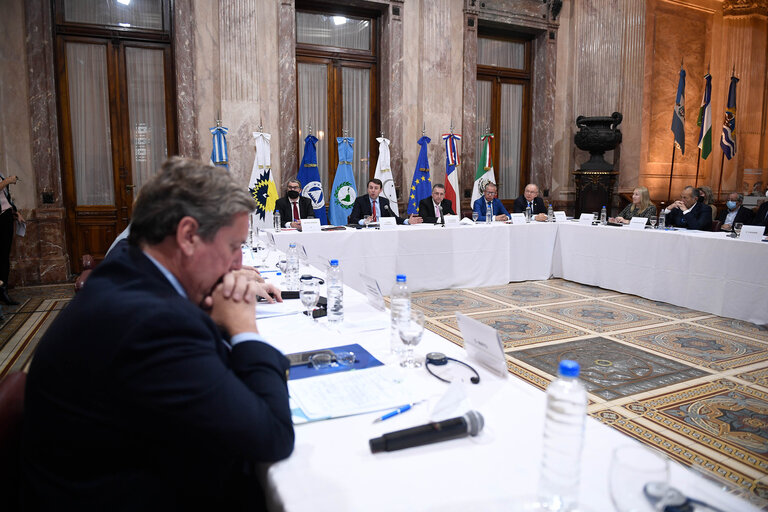 Foto 50: EUROLAT - Fourteenth Ordinary Plenary Session in Buenos Aires -   Argentina - Executive Bureau Meeting