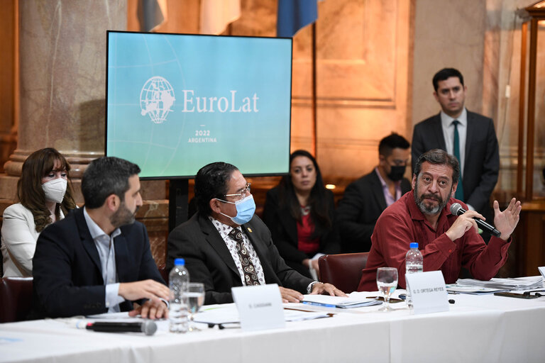 Foto 40: EUROLAT - Fourteenth Ordinary Plenary Session in Buenos Aires -   Argentina - Executive Bureau Meeting