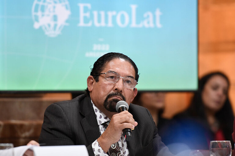 Foto 37: EUROLAT - Fourteenth Ordinary Plenary Session in Buenos Aires -   Argentina - Executive Bureau Meeting