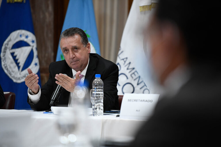 Foto 23: EUROLAT - Fourteenth Ordinary Plenary Session in Buenos Aires -   Argentina - Executive Bureau Meeting