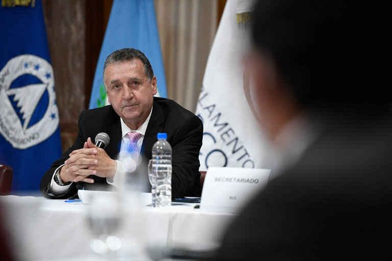 Foto 21: EUROLAT - Fourteenth Ordinary Plenary Session in Buenos Aires -   Argentina - Executive Bureau Meeting