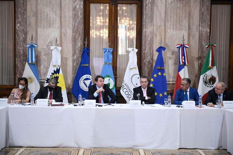 Foto 30: EUROLAT - Fourteenth Ordinary Plenary Session in Buenos Aires -   Argentina - Executive Bureau Meeting