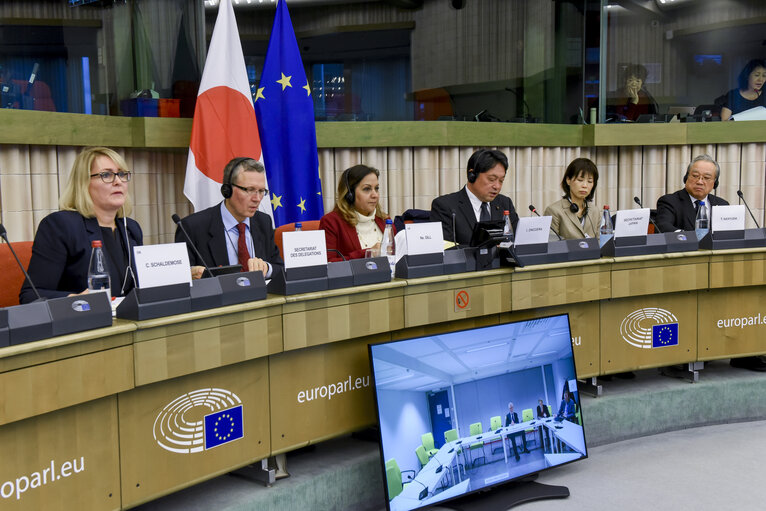 Foto 13: 39th EU-Japan Inter-parliamentary meeting