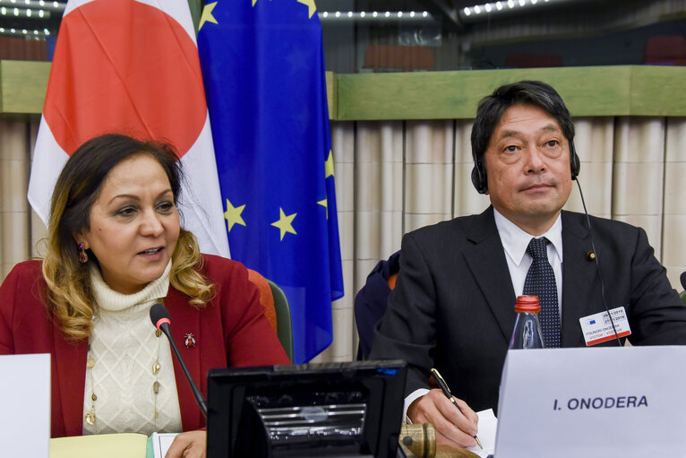 Fotografi 3: 39th EU-Japan Inter-parliamentary meeting