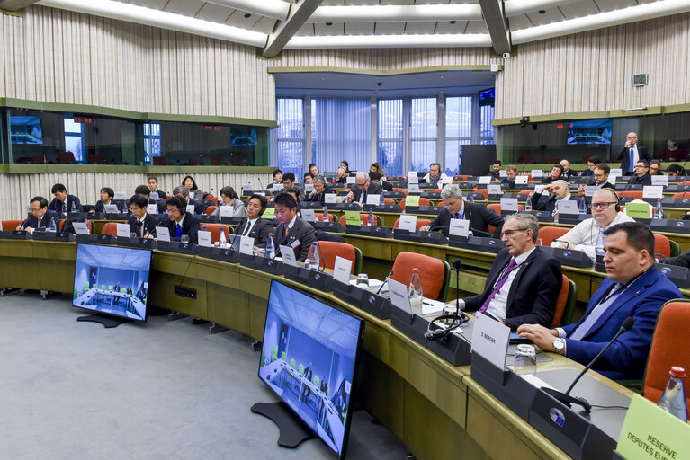 Foto 2: 39th EU-Japan Inter-parliamentary meeting