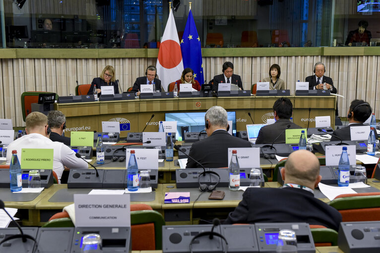 Photo 12: 39th EU-Japan Inter-parliamentary meeting