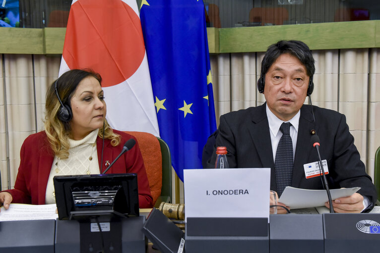 Foto 17: 39th EU-Japan Inter-parliamentary meeting