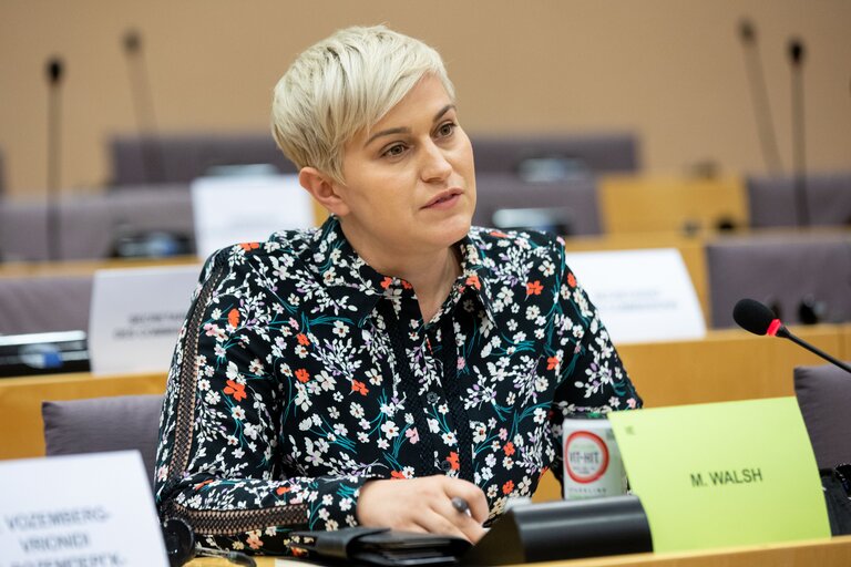 Fotografi 6: LIBE Committee - Situation in Hungary, including the LGBTI laws