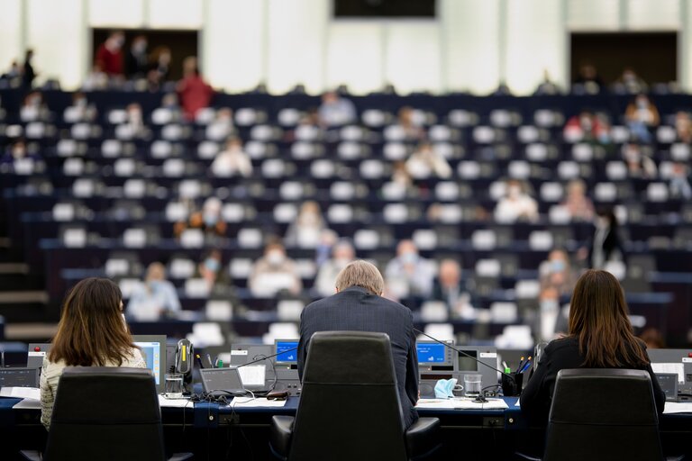 Conference on the Future of Europe - Plenary session