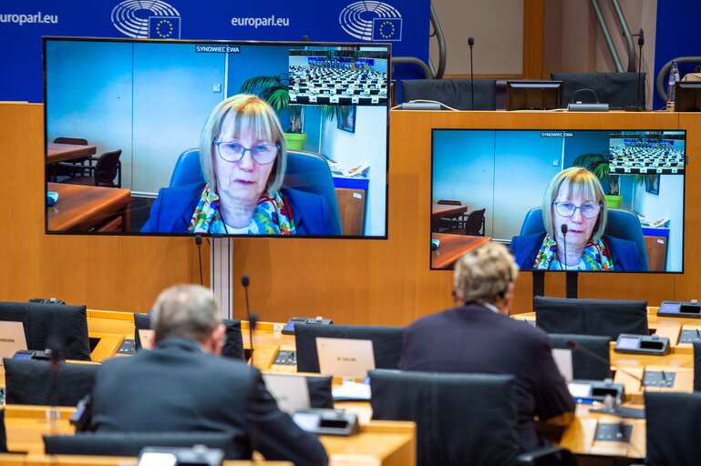 INTA Committee - Vote on new rules allowing the Commission to investigate if companies receive foreign subsidies
