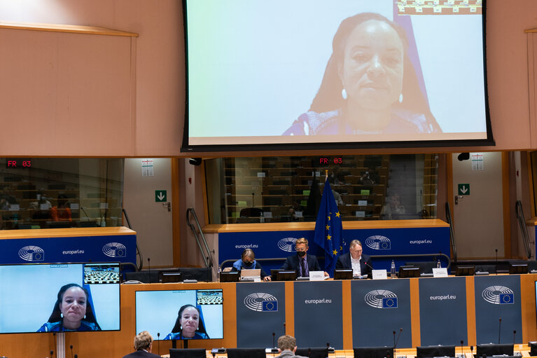 INTA Committee - Vote on new rules allowing the Commission to investigate if companies receive foreign subsidies
