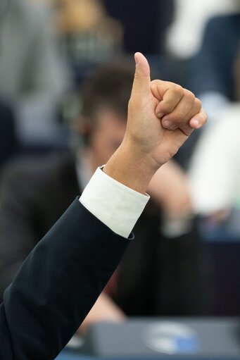 Φωτογραφία 14: EP Plenary session - Voting session