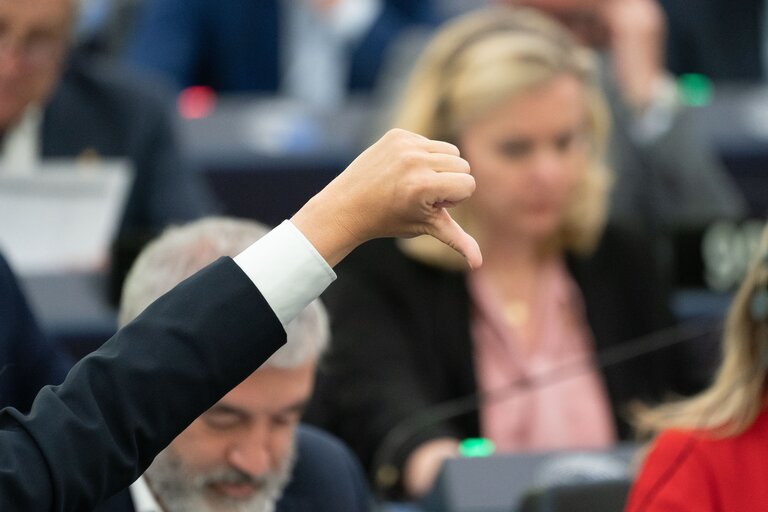 Φωτογραφία 13: EP Plenary session - Voting session