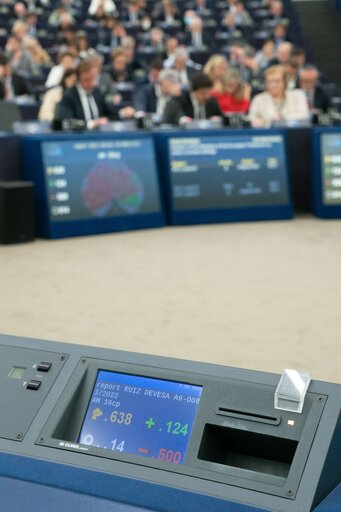 Φωτογραφία 9: EP Plenary session - Voting session