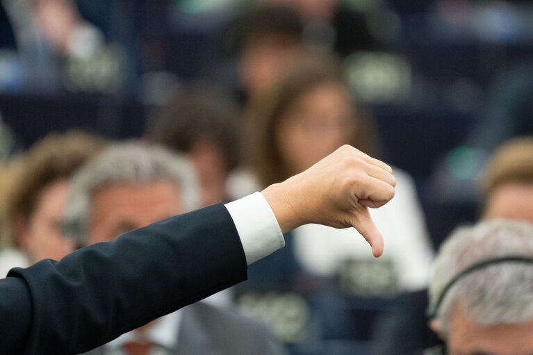 Photo 6: EP Plenary session - Voting session