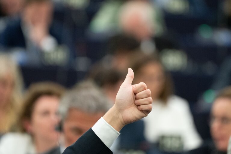 Foto 5: EP Plenary session - Voting session