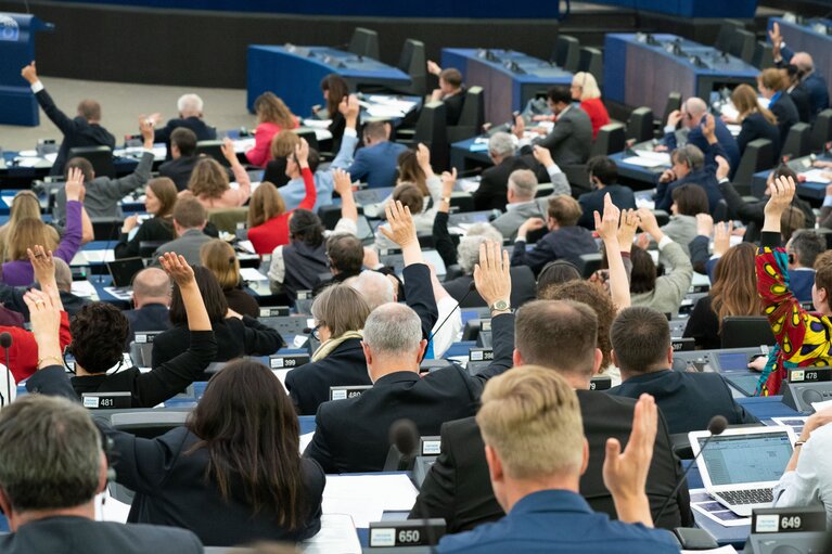 Photo 1: EP Plenary session - Voting session