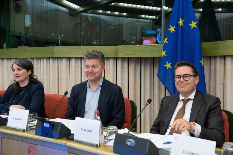 Valokuva 5: Meeting of the Delegation for D-EEA