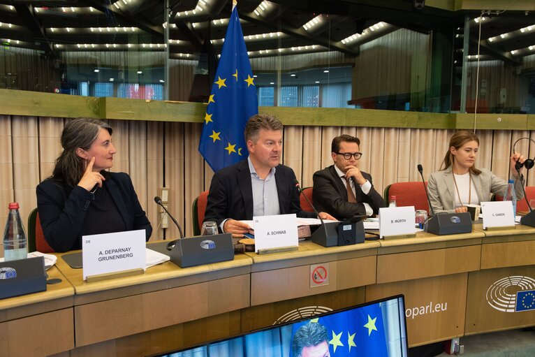 Fotografija 21: Meeting of the Delegation for D-EEA