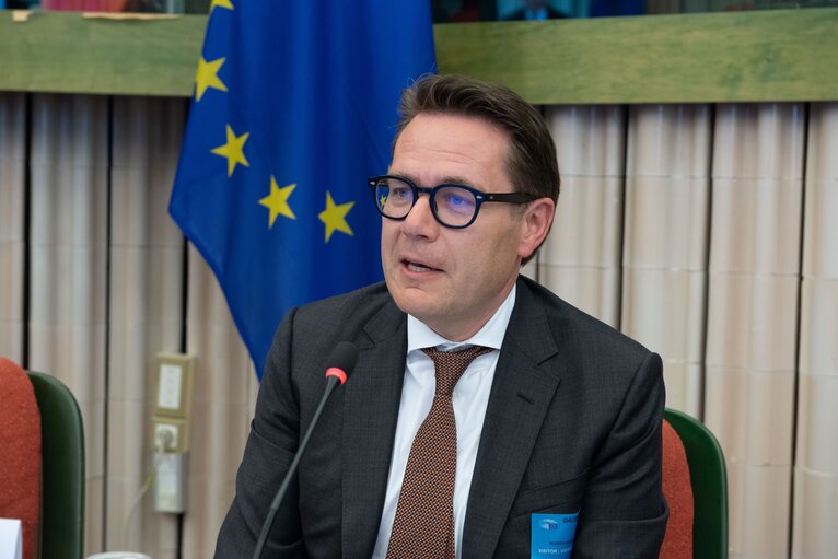 Fotografija 18: Meeting of the Delegation for D-EEA