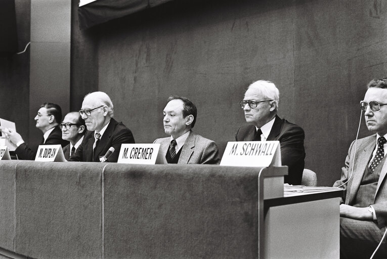 Fotografi 20: Meeting at the European Parliament in Strasbourg in February 1980