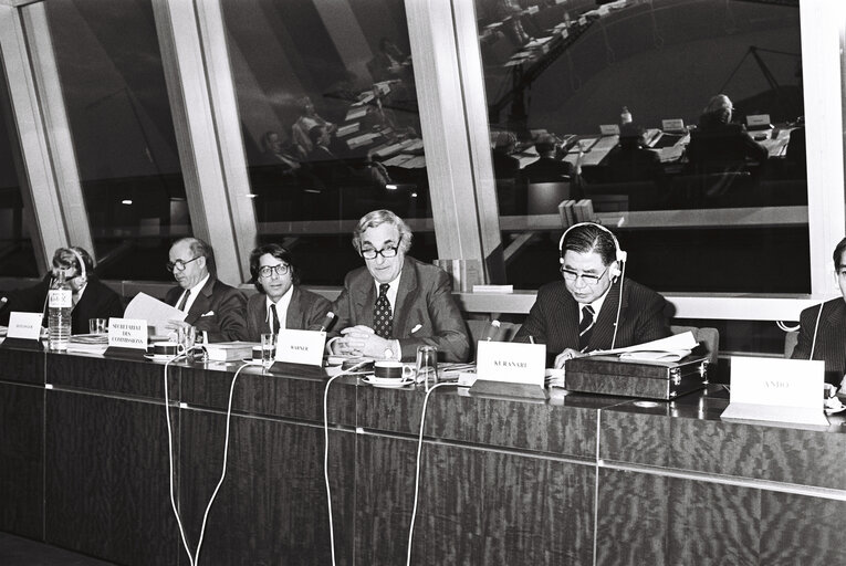 Fotografi 8: Meeting at the European Parliament in Strasbourg in February 1980