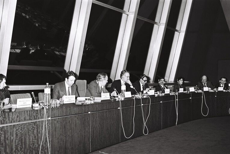 Fotografi 33: Meeting at the European Parliament in Strasbourg in February 1980