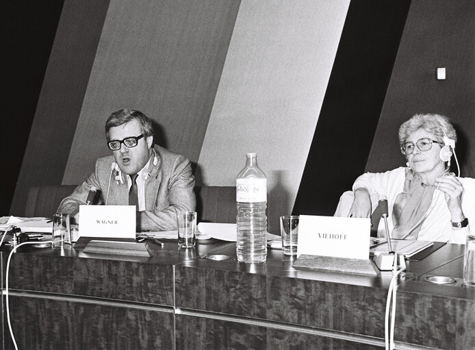 Fotografi 11: Meeting at the European Parliament in Strasbourg in February 1980