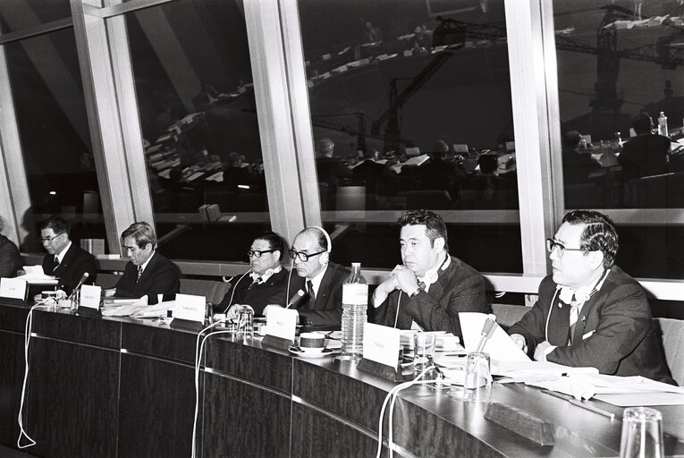 Fotografia 10: Meeting at the European Parliament in Strasbourg in February 1980