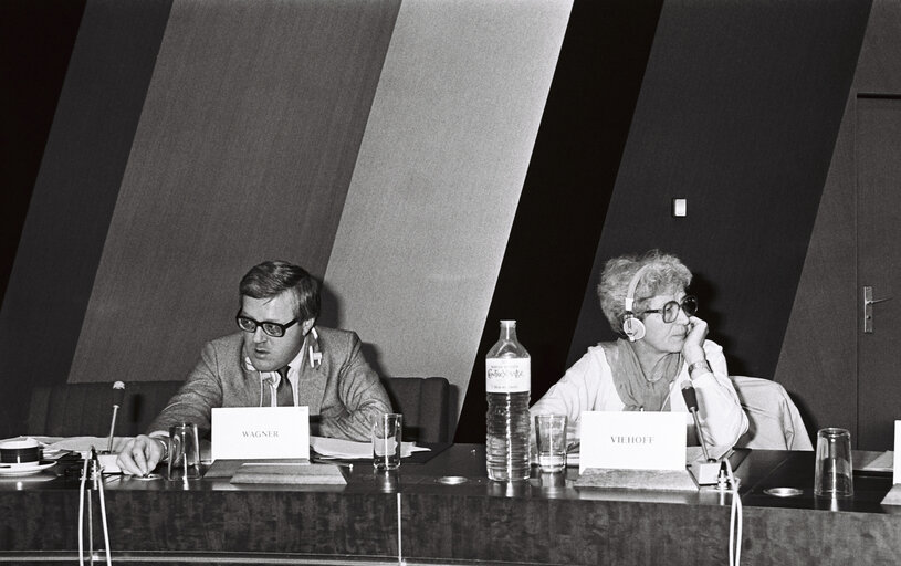 Fotografi 4: Meeting at the European Parliament in Strasbourg in February 1980