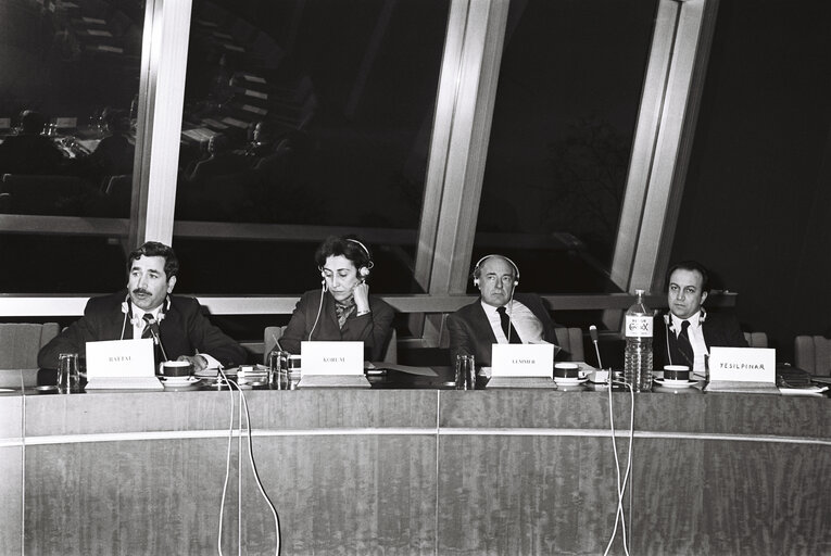 Fotografi 31: Meeting at the European Parliament in Strasbourg in February 1980