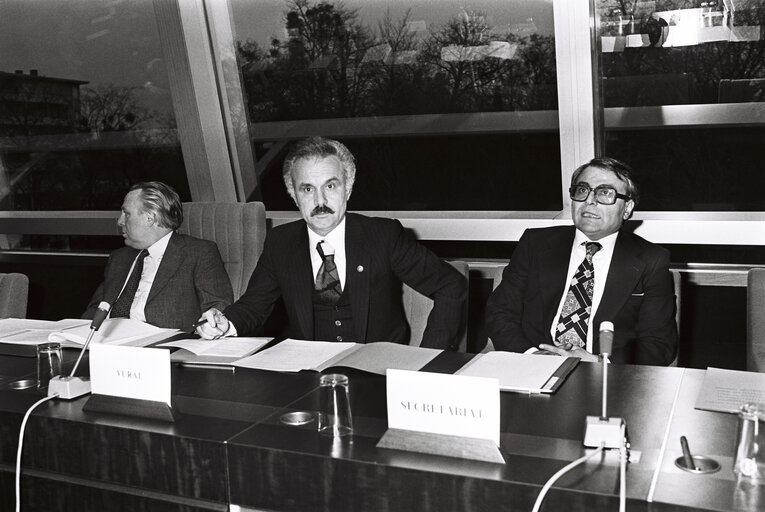 Φωτογραφία 24: Meeting at the European Parliament in Strasbourg in February 1980