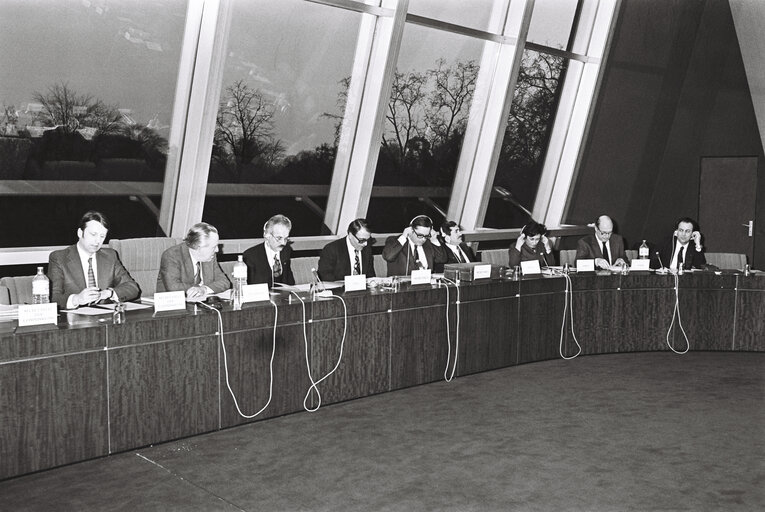 Fotografi 26: Meeting at the European Parliament in Strasbourg in February 1980