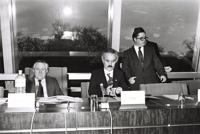 Fotografi 22: Meeting at the European Parliament in Strasbourg in February 1980