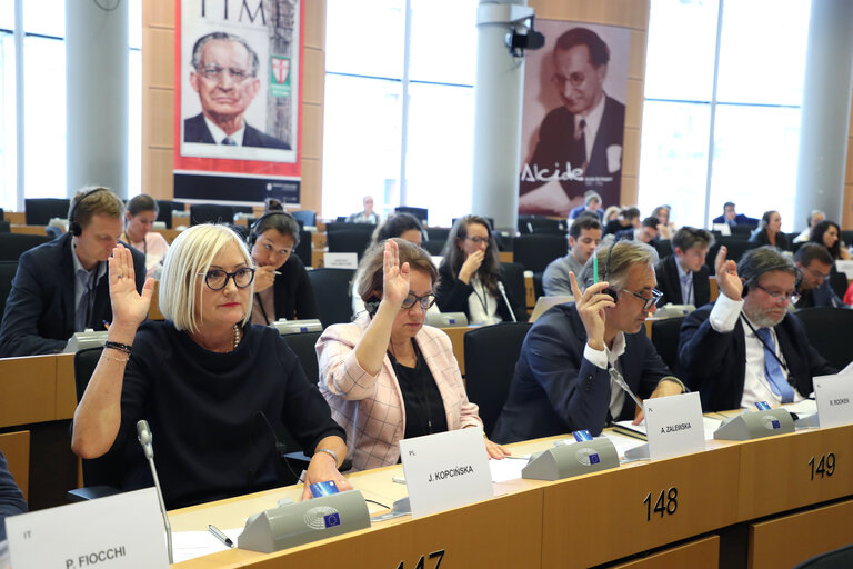 Photo 2 : Joanna KOPCINSKA in the EP in Brussels