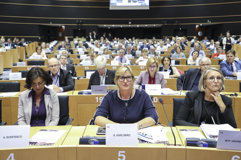 Annual EU Ambassadors' Conference