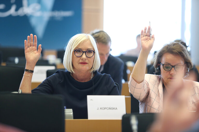 Photo 5 : Joanna KOPCINSKA in the EP in Brussels