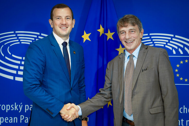 David SASSOLI - EP President meets with Virginijus SINKEVICIUS - Commissioner-designate for Environment.